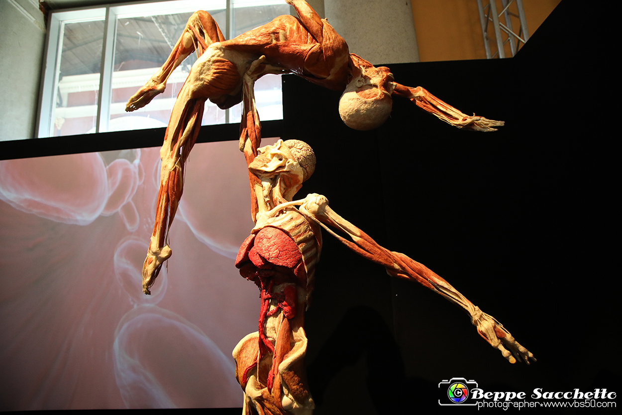 VBS_2815 - Mostra Body Worlds.jpg